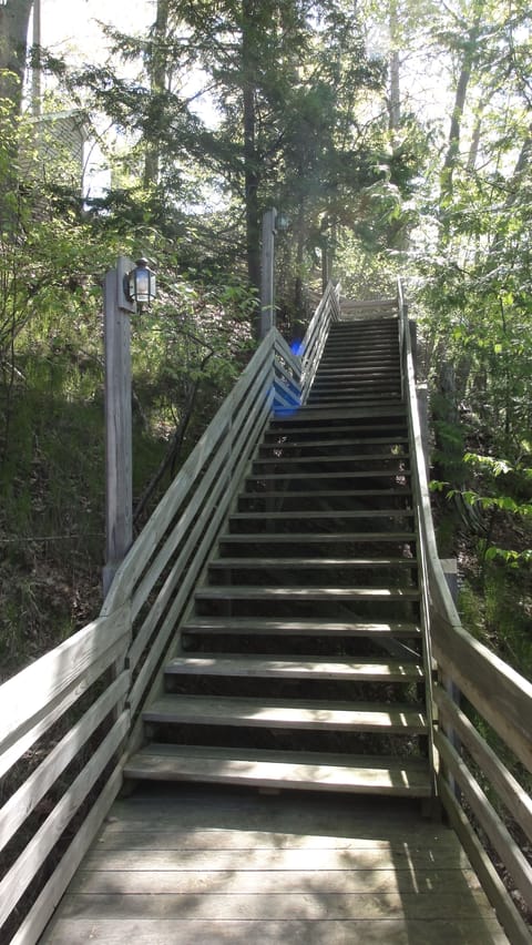Stairs down bluff to secluded cottage.