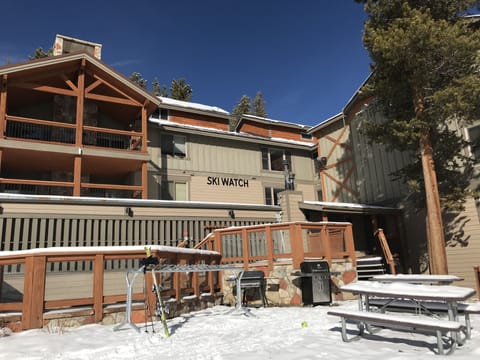 Near view. Pines surround most of the building.