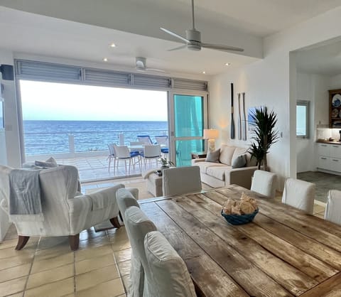 Living area and terrace