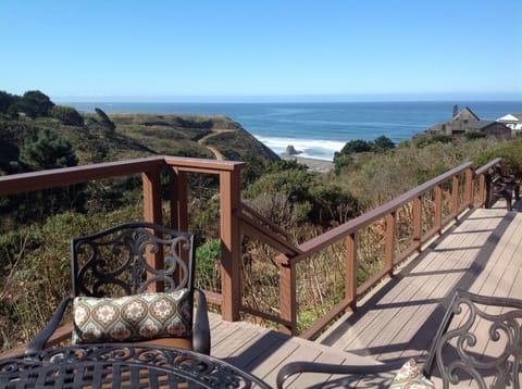 Great view of Manchester State Beach