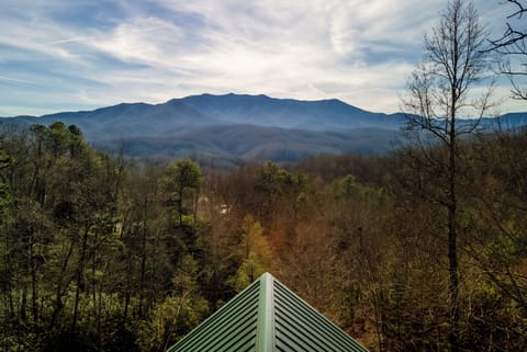 This View!!! no obstructions just all National Park and Mount LeConte