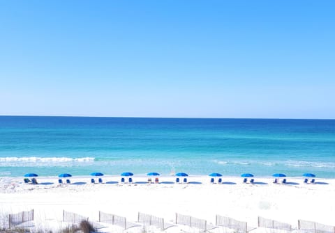 Cabana Club 305 Balcony View!