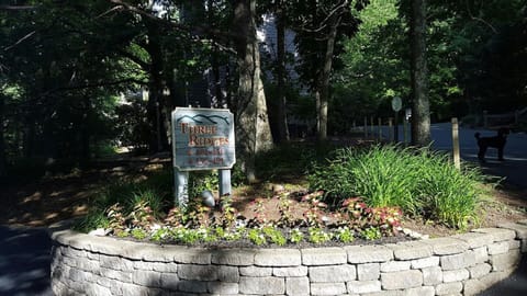 Exterior Neighborhood