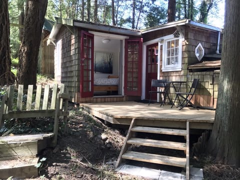 Sunny day with the new cedar deck