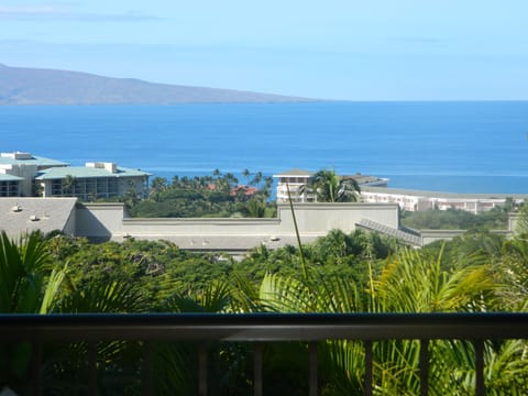 Ocean View From Lanai