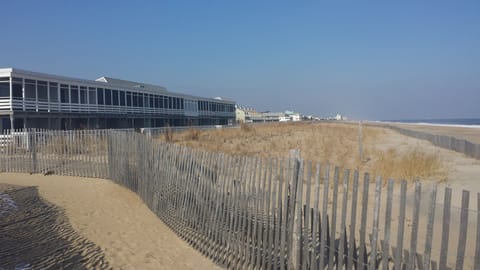 Ocean Front / Beach Front
