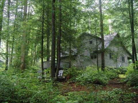 View of back yard from stream area.... relax in deck chairs 40' from cabin....