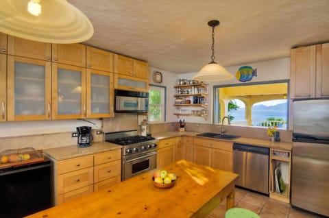 Well appointed kitchen with pass through window to outside dining.