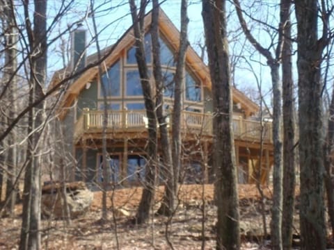 View of the house through the trees