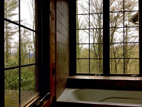 What a View from Master Bath with Jetted Tub...Like Being Outdoors