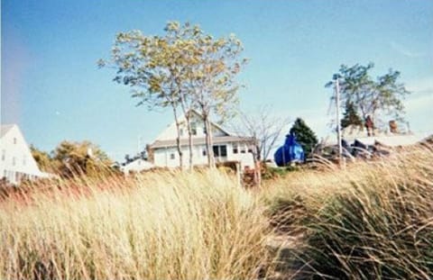 VIEW FROM WATERS EDGE