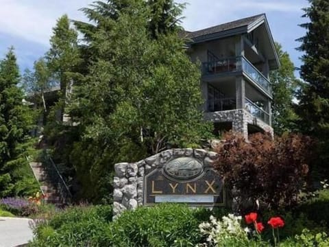 The Lynx Complex - Blueberry Hill
