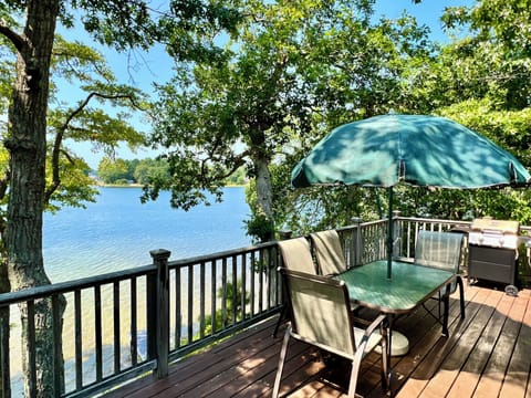 Expansive deck with grill, high in the trees overlooking Ezekial Pond.