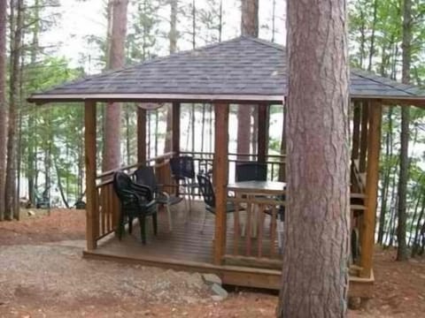 Gazebo near lake and firepit