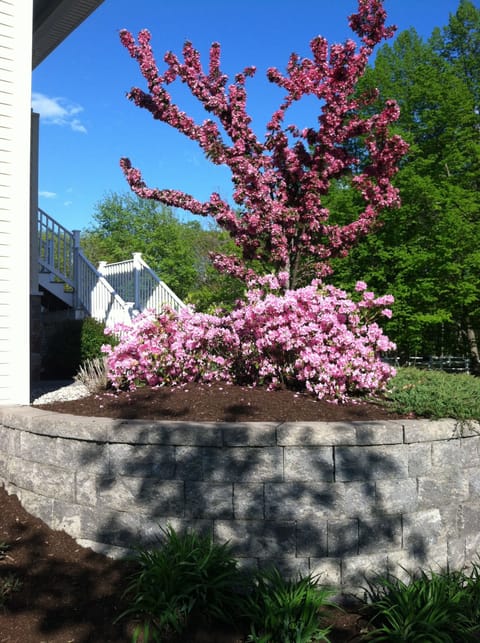 A beautiful landscape offers a variety of flowers blooming throughout the summer
