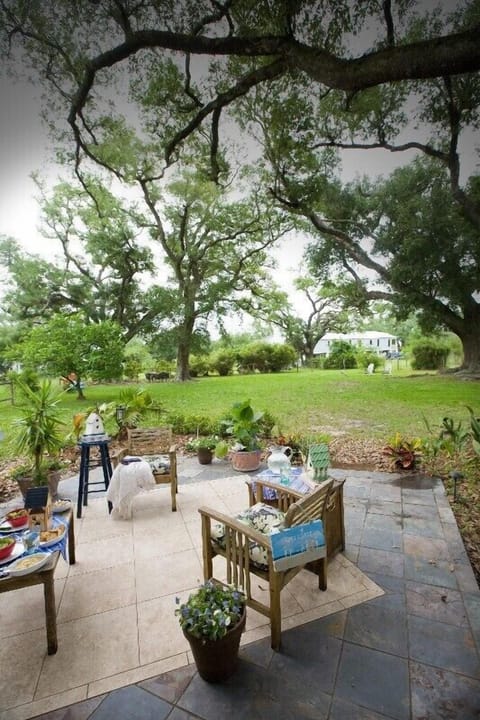 Backyard -Plenty of Room to Unwind