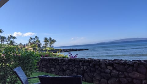 Amazing private view of the ocean from the lanai.