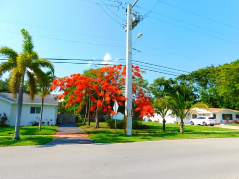 The 2 homes you are renting in the price.