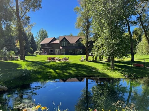 The Magical Back Yard
