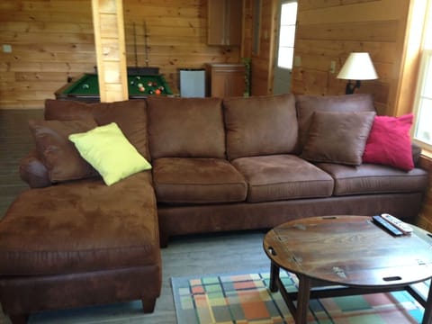 Lower level seating area with 55" TV