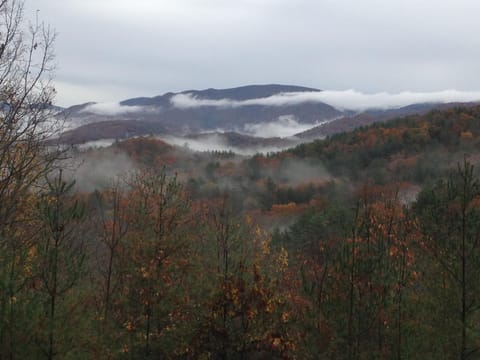 Early November morning from the back porch
