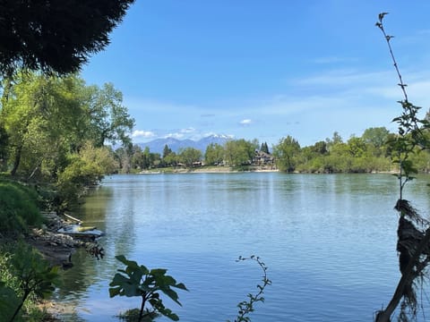 Mountain view from the river 