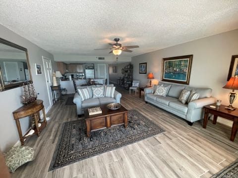 Living room and kitchen