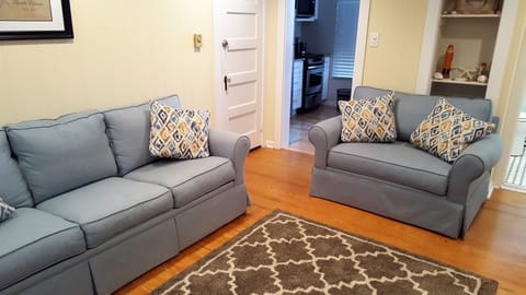 Living Room with Queen size pullout