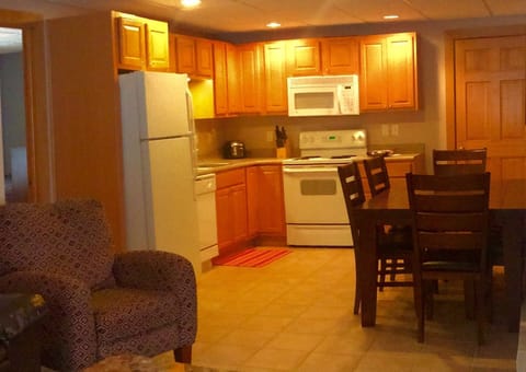 Lower unit kitchen area with table that pulls out to seat 10