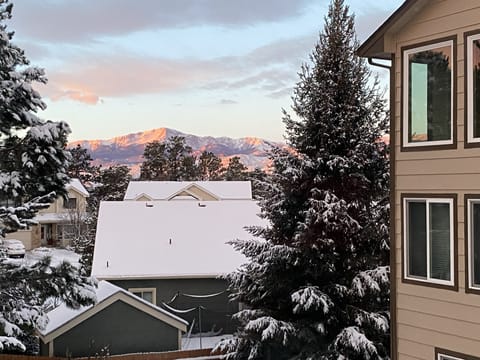 Winter view from dining room window