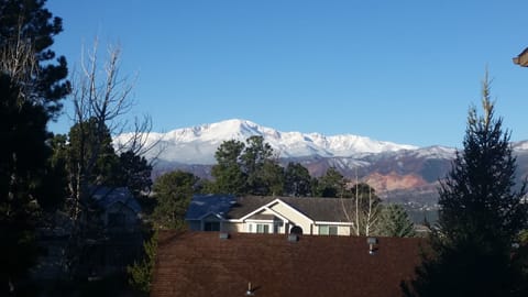 view from dining table