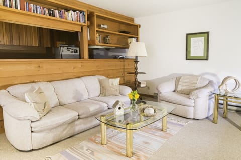 Living room with super comfy furniture