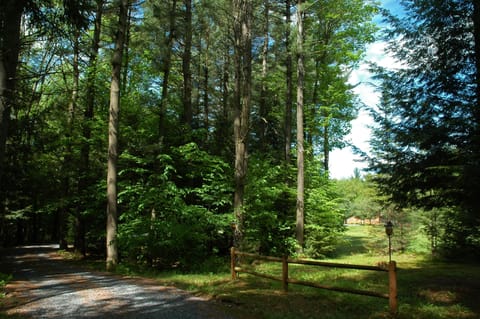 The driveway