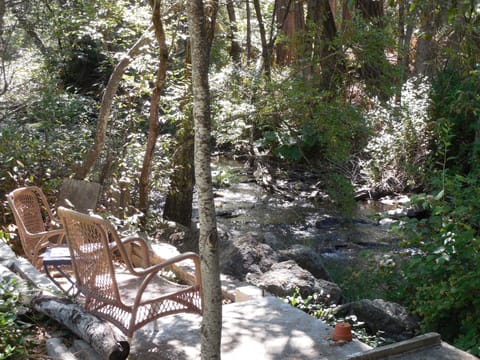 Creekside Retreat in summer