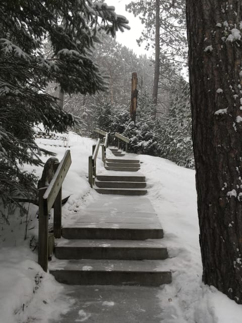The front steps in winter.
