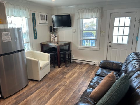 Living Room with full size pull out sofa sleeper