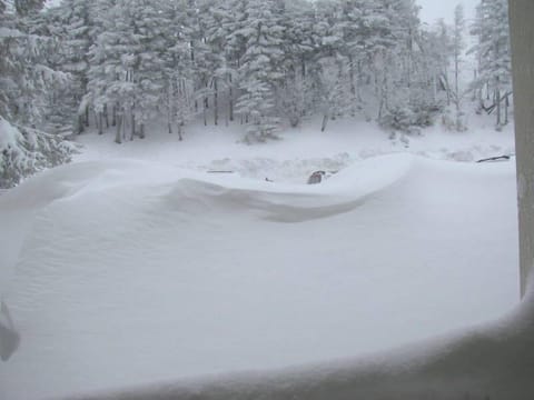 Winter View From Front Door. Can you see the top of the car?
