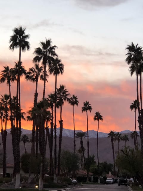 Beautiful sunsets!