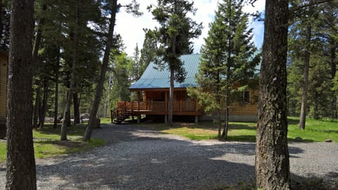 Spring time!   The snow is gone and things are greening up!