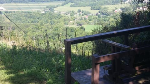 overlook bench at side of property