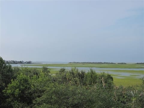The Creek &amp; Tidal Marsh From Upstairs Deck