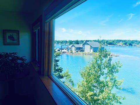 Marina and harbor view from upstairs window