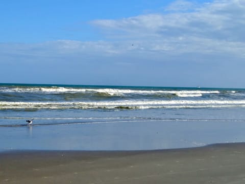 The Beach