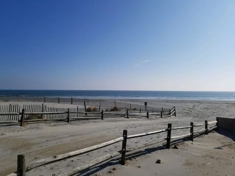 Walk to the beach 