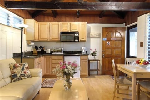 Full kitchenette with sink, disposal, microwave, toaster oven and hot plate.