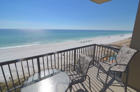 Imagine your morning coffee with this view.  Watch the dolphins play.
