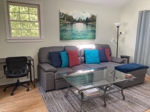 Living Area, Sleeper Sofa and desk/chair.
