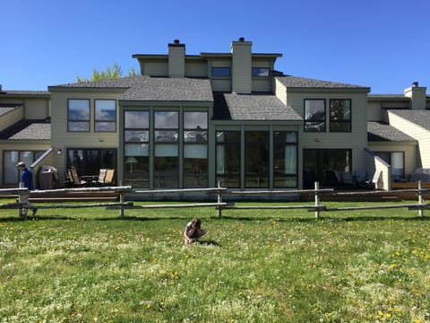 4512 Greyling from outside