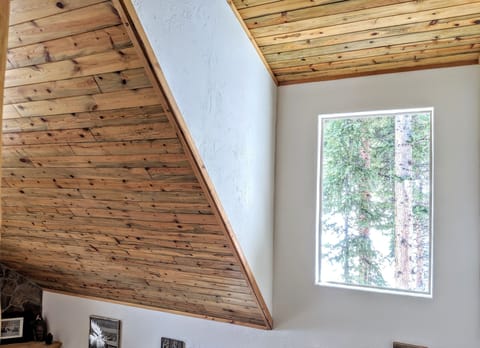 Pine tree views from all the windows.