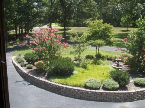 Veiw of front planter from Kitchen